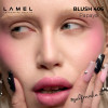 Рум'яна для обличчя Blush cheek colour - Pitaya 406